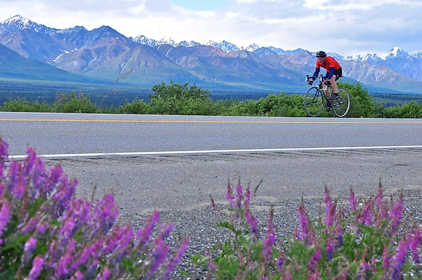 Road near Glacier View in Alaska.