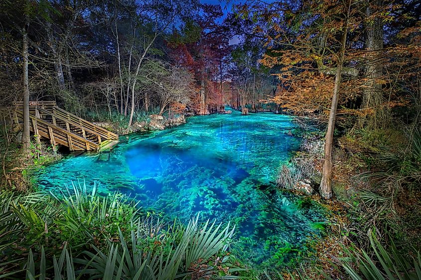 Peacock I Springs illuminated at night, Wes Skiles Peacock Springs State Park, Florida