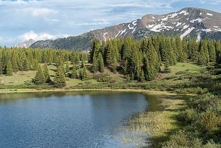 Landscape of Little Molas Lake, trees and snow-dappled mountains in Colorado