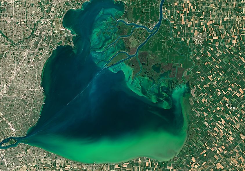 Satellite image of algal blooms around the Great Lakes captured by Landsat 8 in July 2015