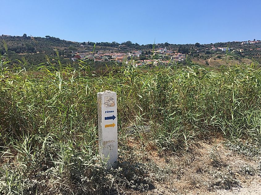 Example of Camino Santiago markings