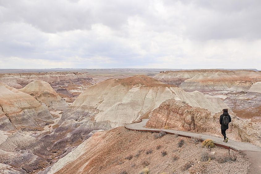 The stunning landscape of the Petrified Forest National Park near Holbrook, Arizona.