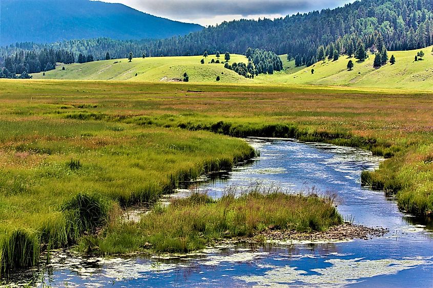 Valles Caldera National Preserve Jemez Mountains