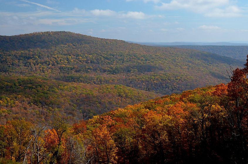 Arkansas Fall in Boston Mountains