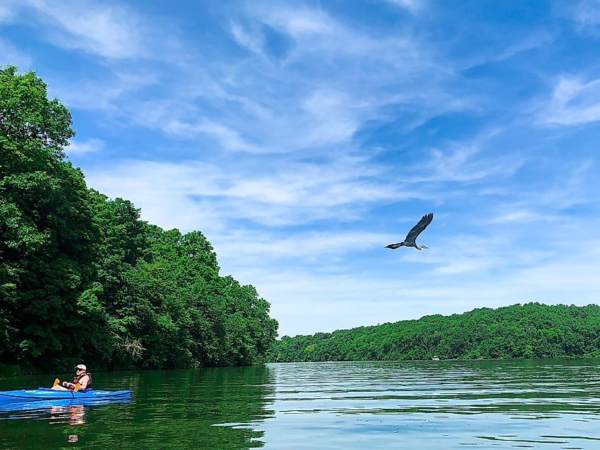 a beautiful summer day on Lake Galena.