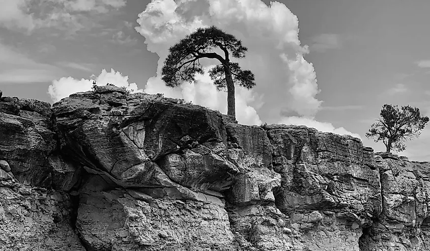 Shebshi Mountains, mountain range in eastern Nigeria, extending approximately 100 miles (160 km) in a north-south direction between the Benue and Taraba rivers.