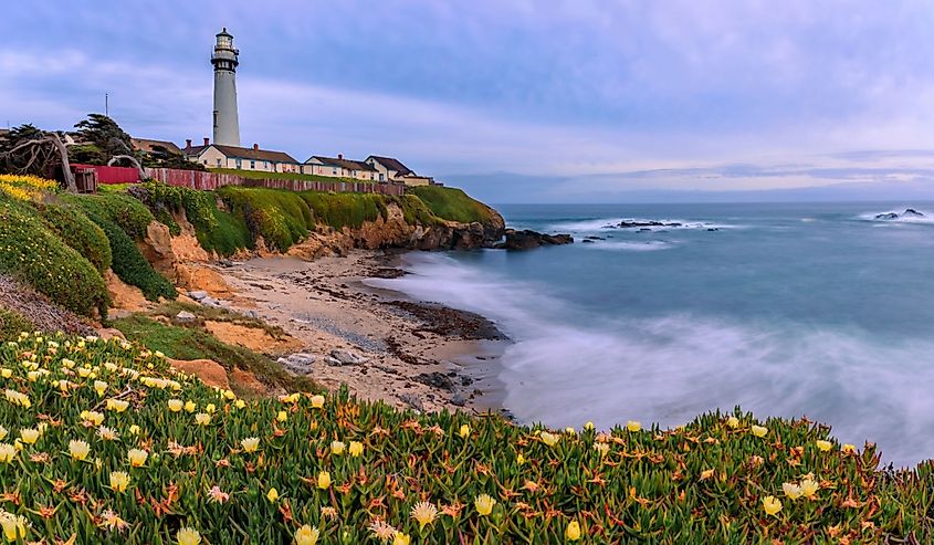 Waves crashing on the shore by Pigeon Point Lighthouse, Northern California by Pescadero