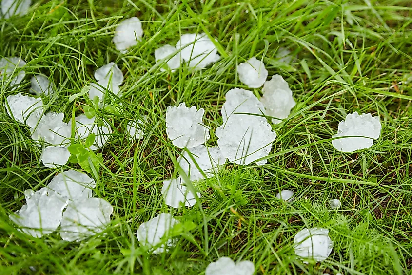 Hail on green grass after hailstorm