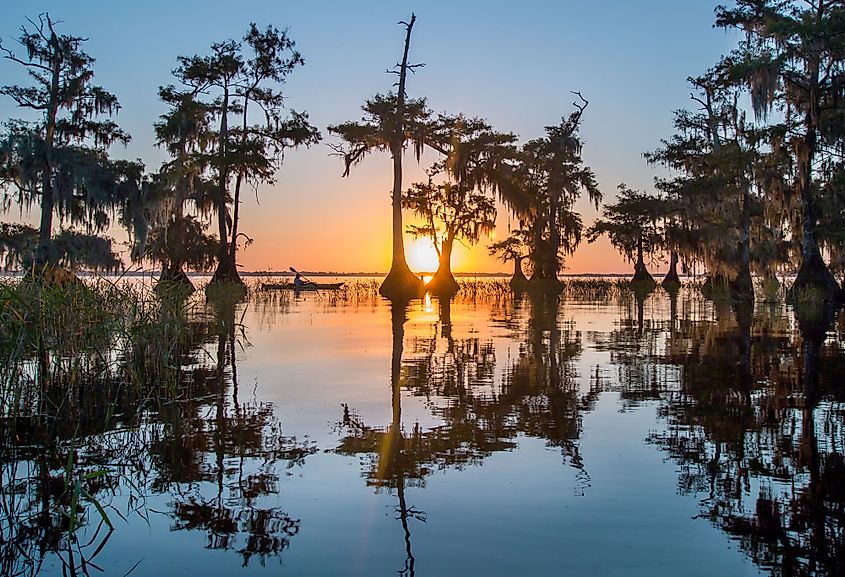 A lone kayaker enjoying the Blue Cypress Lake as the sun rises