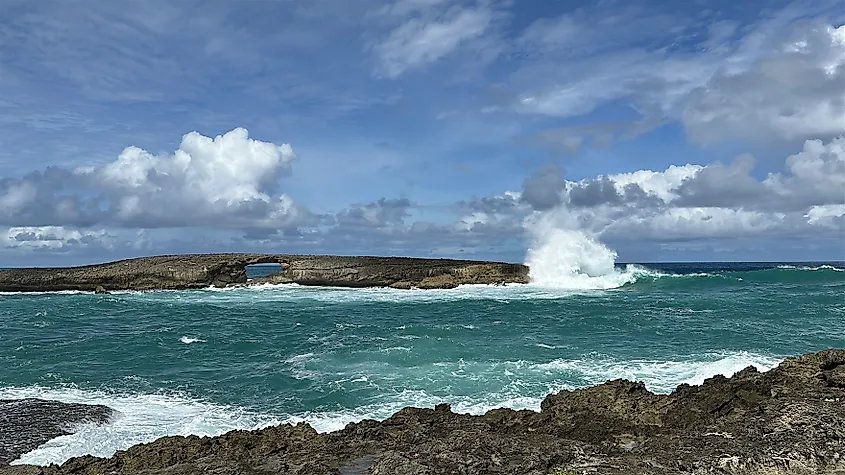 Waves crashing into the rocks at Lāʻie Point State Wayside.