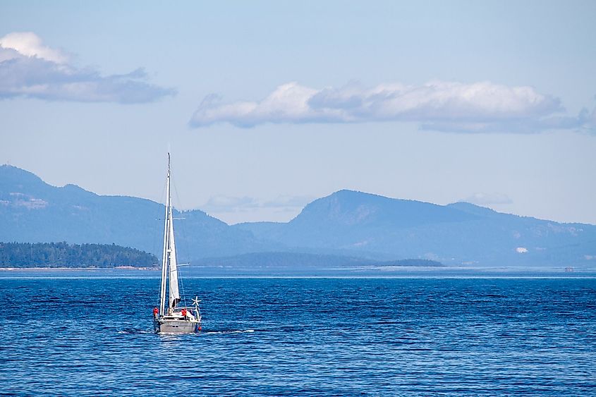 Sailboat on the Salish Sea