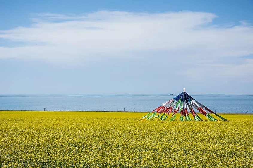 Qinghai Lake view in summer