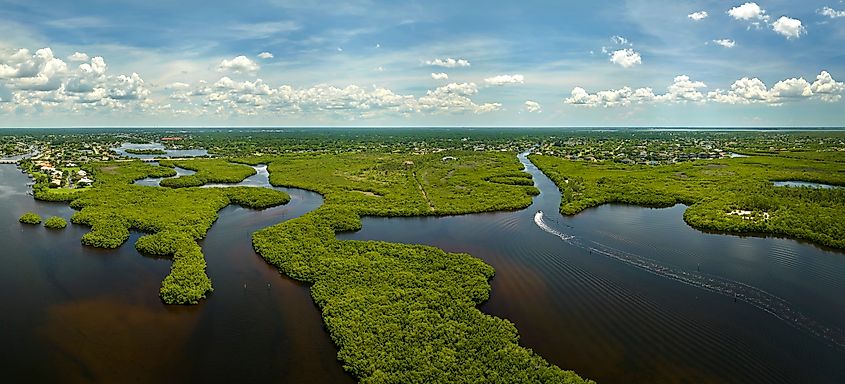 View from above of Florida everglades with green vegetation between ocean water inlets.