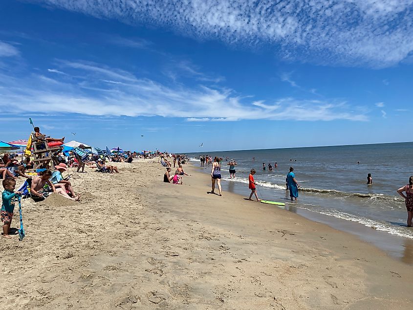 A view of the beach at Cape Henlopen State Park.