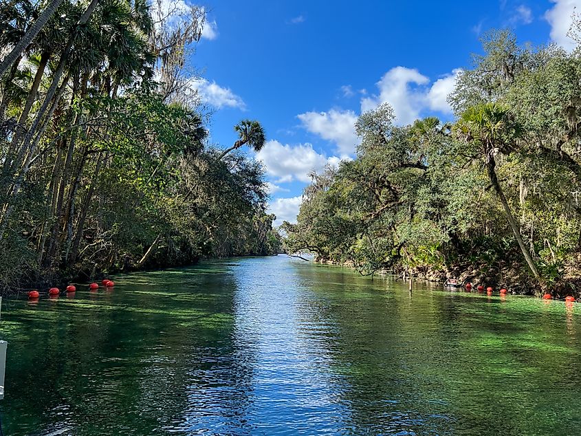 The clear spring at Blue Spring State Park in Orange City, Florida.
