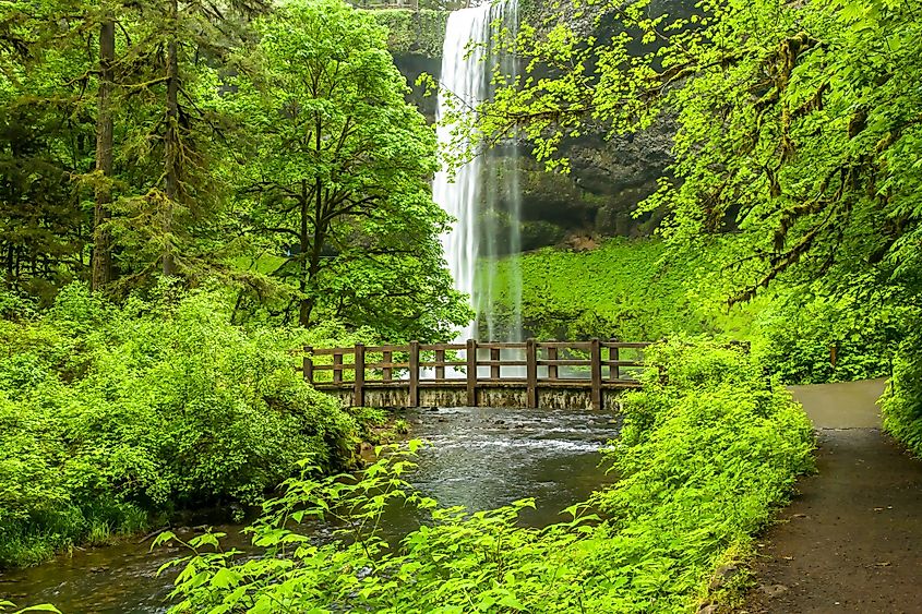 Silver Creek in Silver Falls State Park, Oregon.