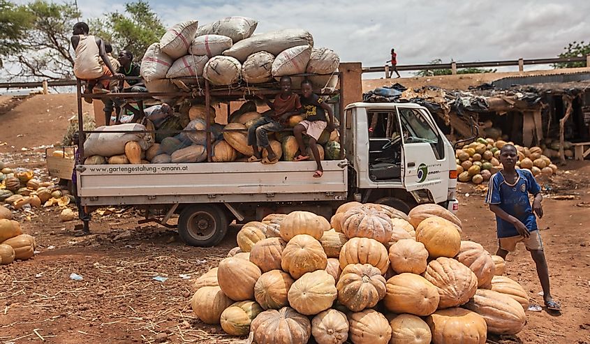 African boys on open truck full of vegetables bags pumpkins near Niamey city
