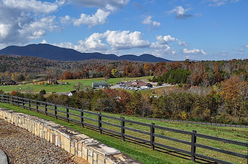 A winery outside Cookeville, Tennessee.