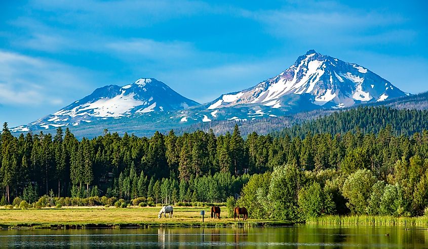 Three horses grazing in a central Oregon meadow near Sisters with the three sisters mountains in the background