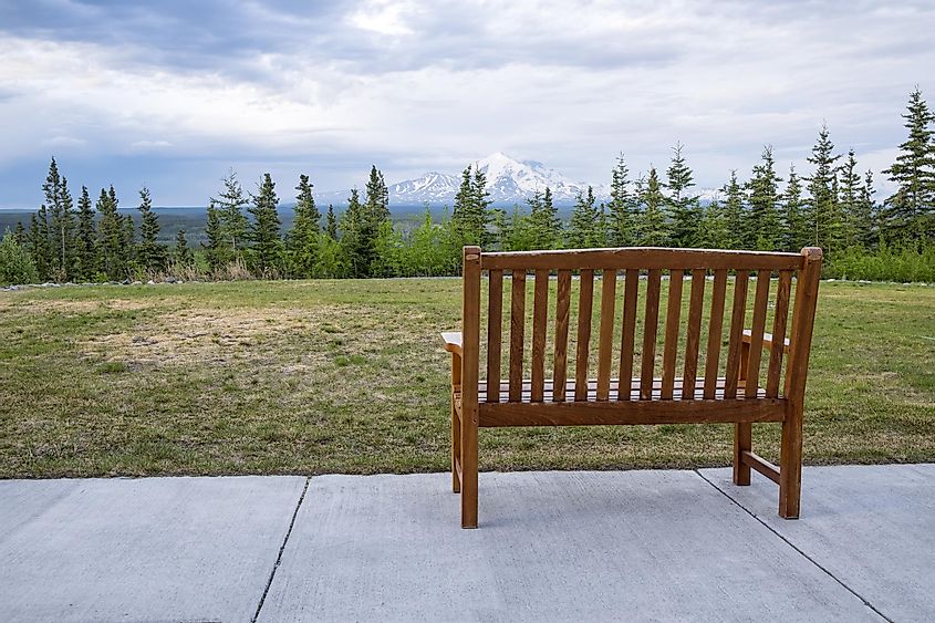 Bench with a View of Mount Blackburn Alaska
