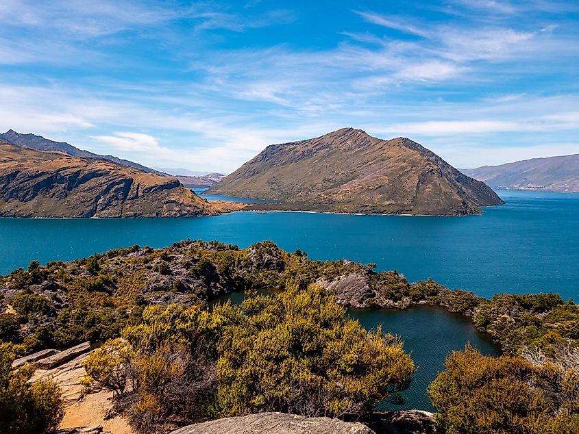 Mou Waho Island in Lake Wanaka