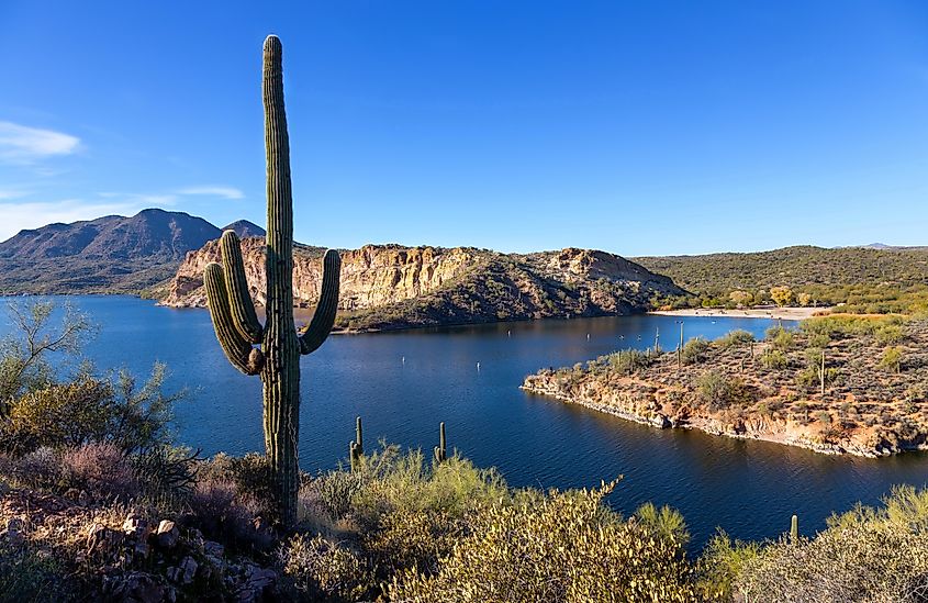 Saguaro Lake Panorama with Desert Cactus Foreground View.