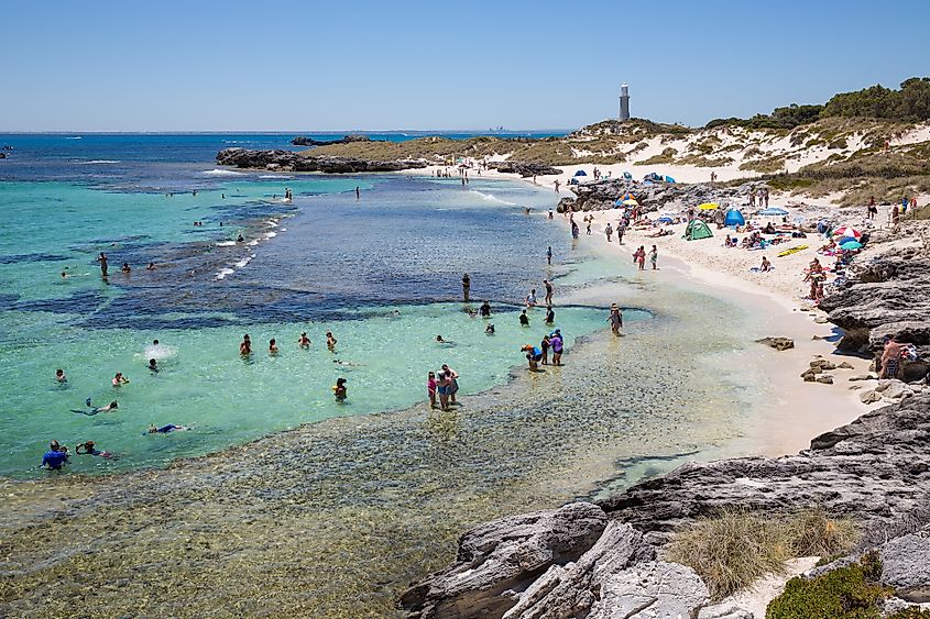 Rottnest island tourist