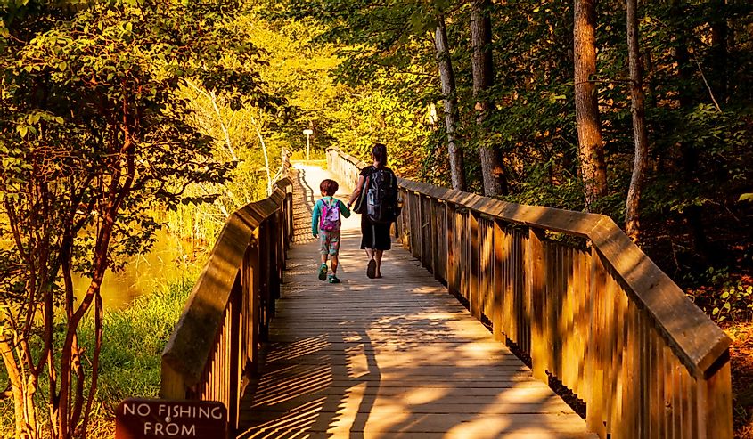 A mother and her little daughter are hiking together on a wooden bridge over swamp in Calvert Cliffs State Park of Maryland.