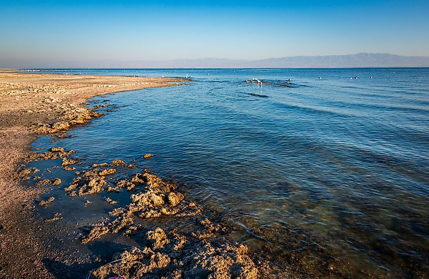 The Salton Sea in California.