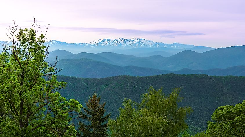 Panoramic view of the snow-capped Pyrenees from La Garrotxa forests, Catalonia, Spain.