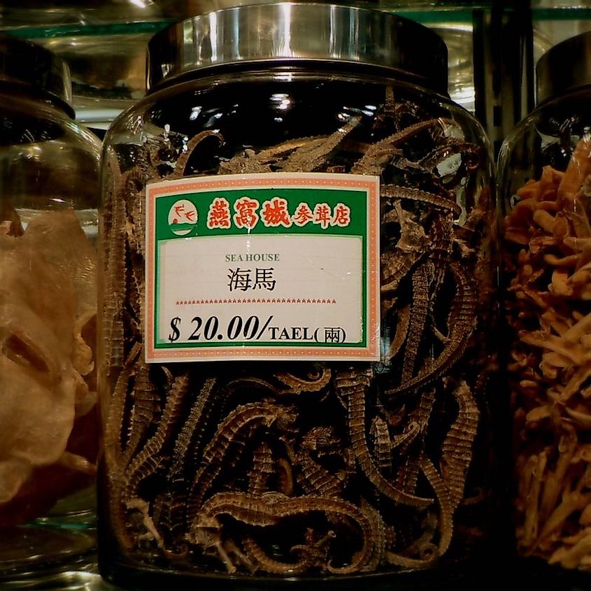 These Chinese Medicines Actually Contain Body Parts From Animals -  WorldAtlas