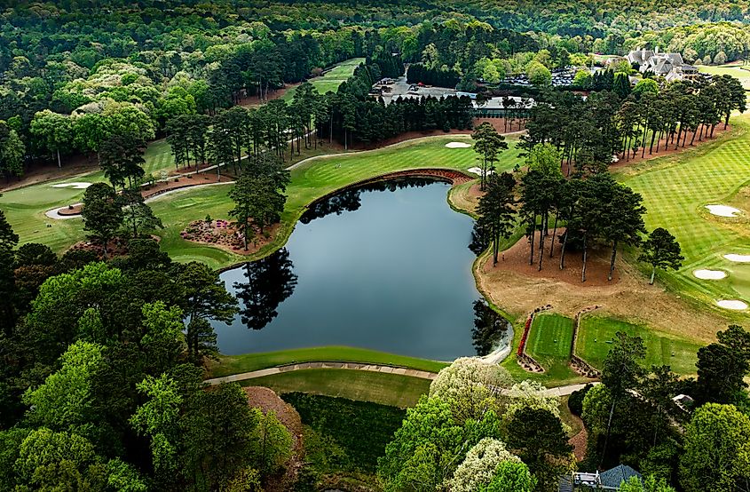 The town of Greensboro in Georgia. Credit: Americo Leonardo/ Shutterstock.com