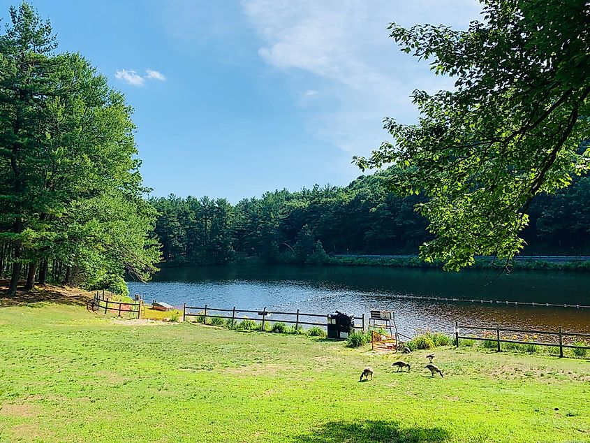 A lake in Leominster, Massachusetts