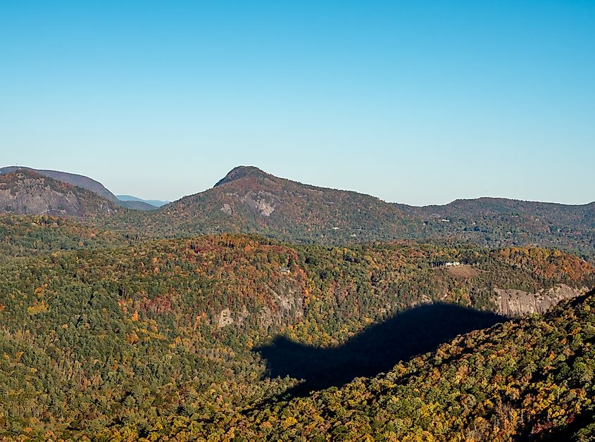 Shadow of a bear in North Carolina