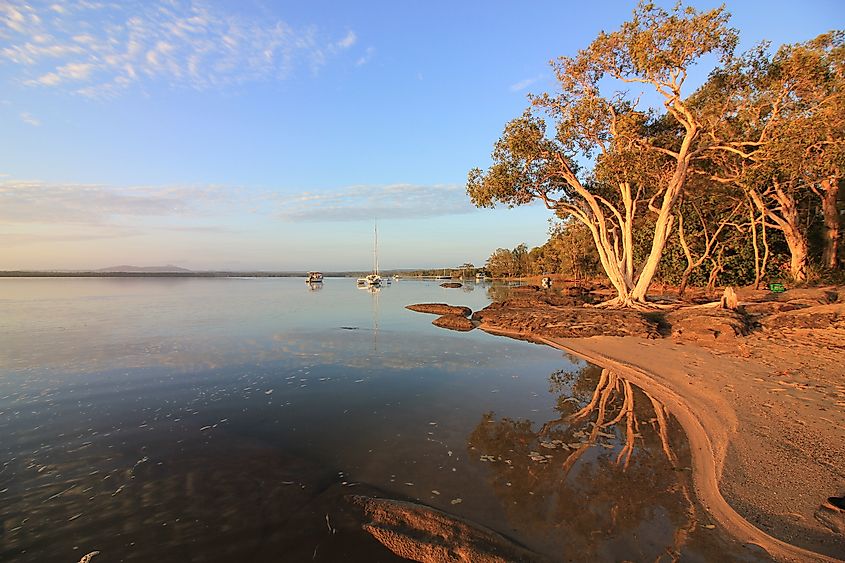 The Landscape of Boreen Point, Queensland, on the edge of the Lake Cootharaba during a summer sunrise.
