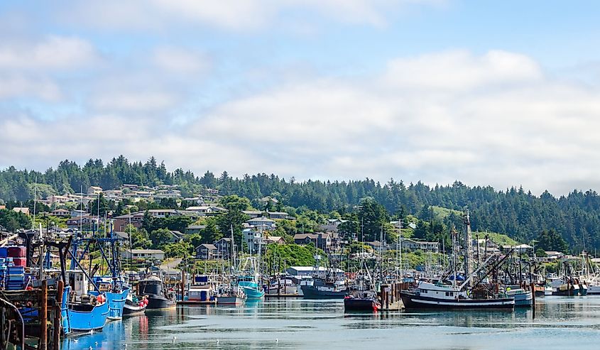 Boats and houses in Yaquina Bay in Newport, Oregon