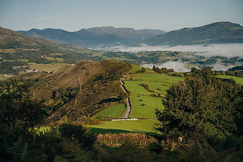 The rolling green and brown hills of the French Pyrenees. 