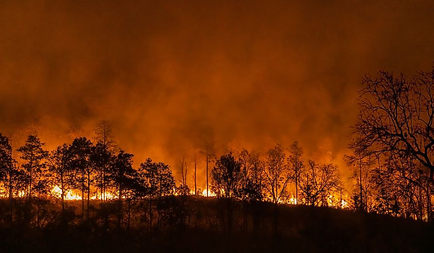 El Nino weather phenomenon cause drought and increase wildfire.