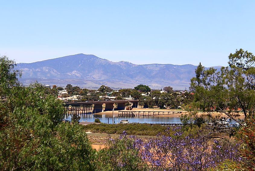 Port Augusta with jacarandas in bloom.