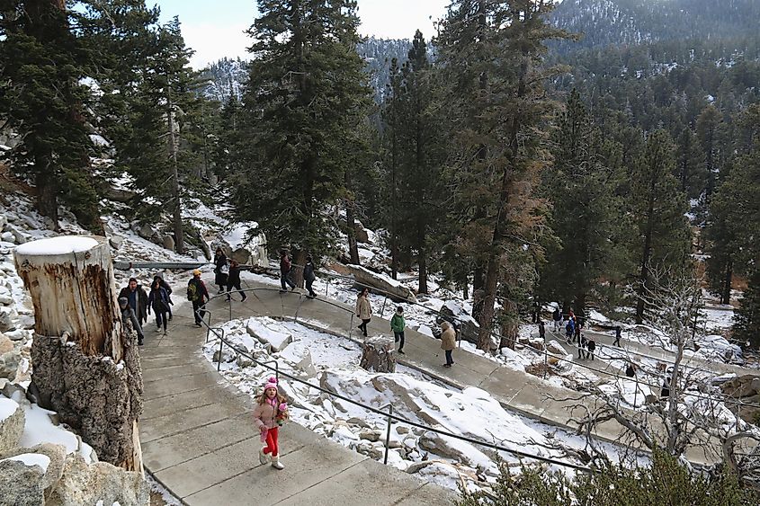 Tourists are enjoying snow capped scenery at Mountain station of the Palm Springs Aerial Tramway, the largest rotating aerial tramway in the world.