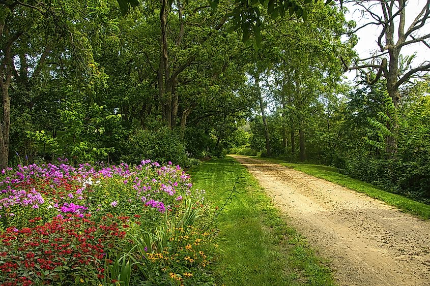 Colorful Summer landscape of flowers blooming beside the Military Ridge State Trail, near Mount Horeb, Wisconsin.