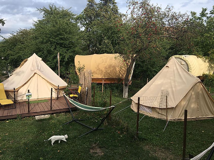 Glamping at Dragonfly Gardens in Brasov, Romania