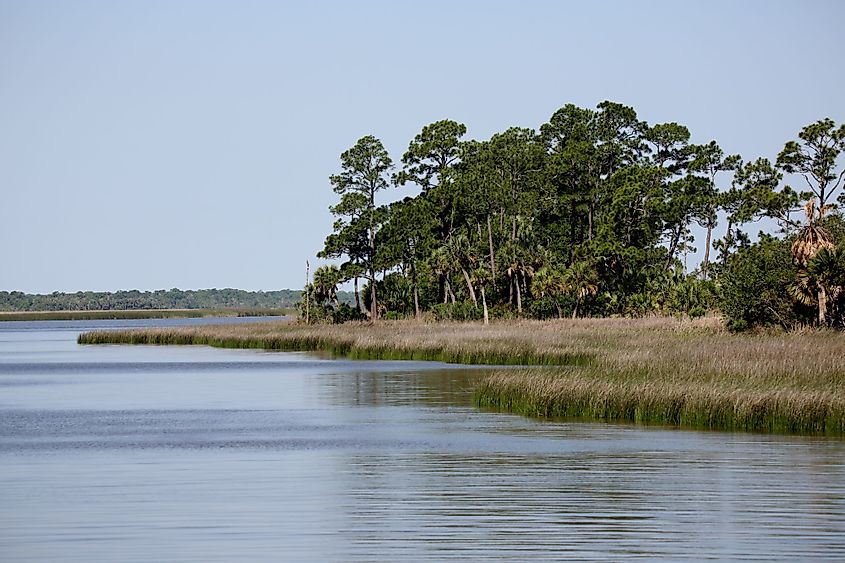Shoreline of Apalachicola Bay