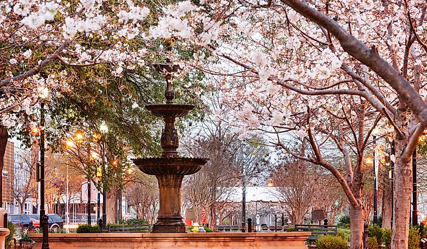Macon, Georgia, USA downtown square in spring season with the fountain.