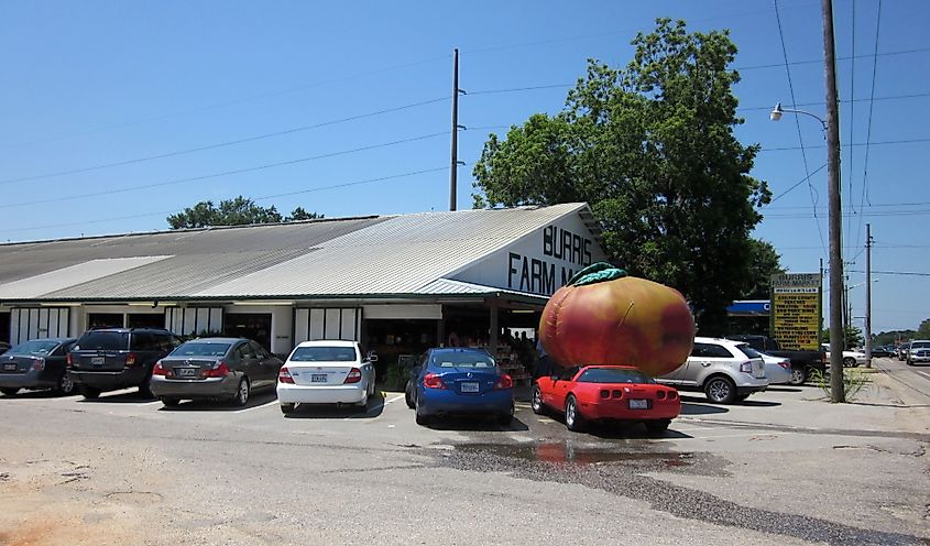 Burris Farm Market, Loxley, Alabama.