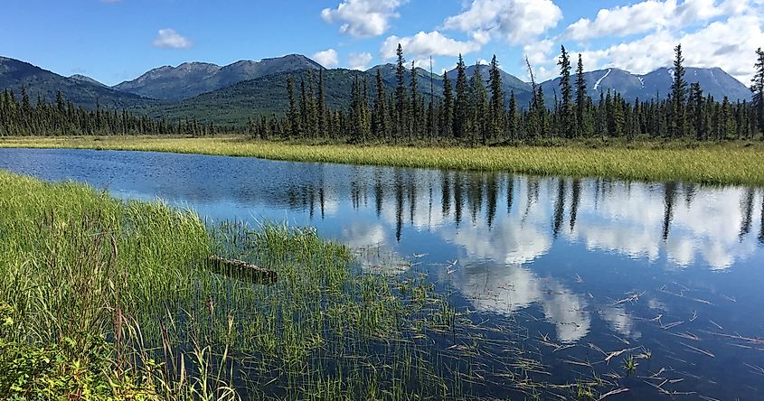 A wide stream flows timid under the view of distant mountains in the Kenai National Wildlife Refuge.