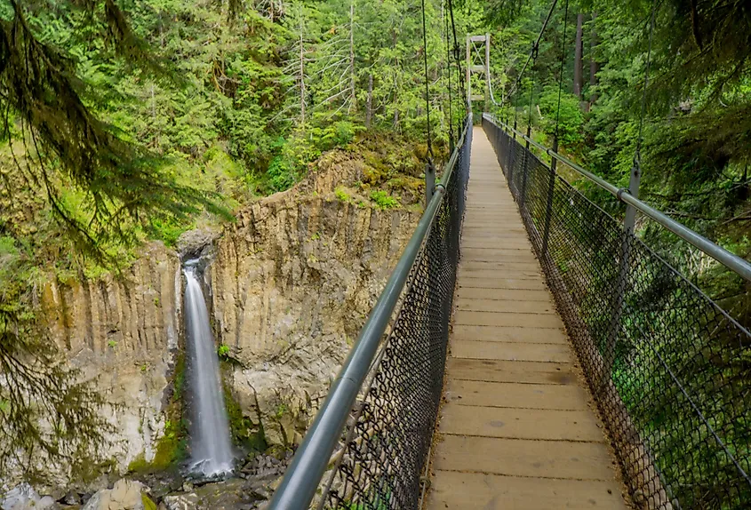 Drift creek fall trail in Siuslaw National Forest, Oregon.