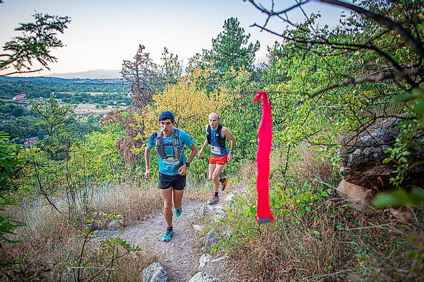 The early leaders of the Balkaniada Sky Race heading up through the forest trails