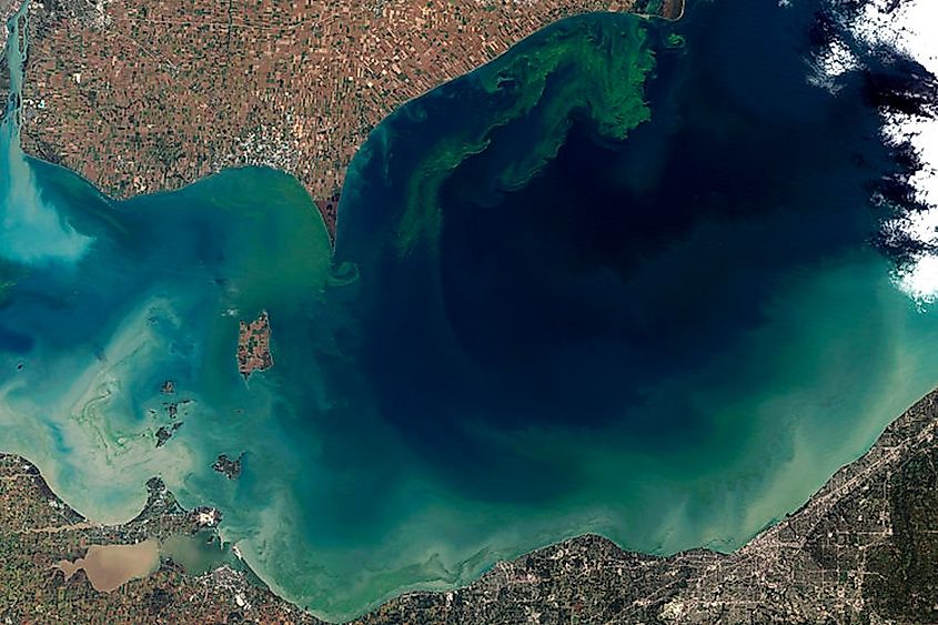 Aerial vie of the worst algae bloom Lake Erie has experienced in decades.