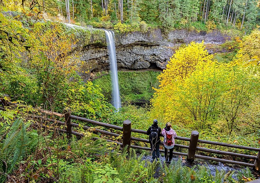 Silver Falls State Park near Silverton, Oregon.